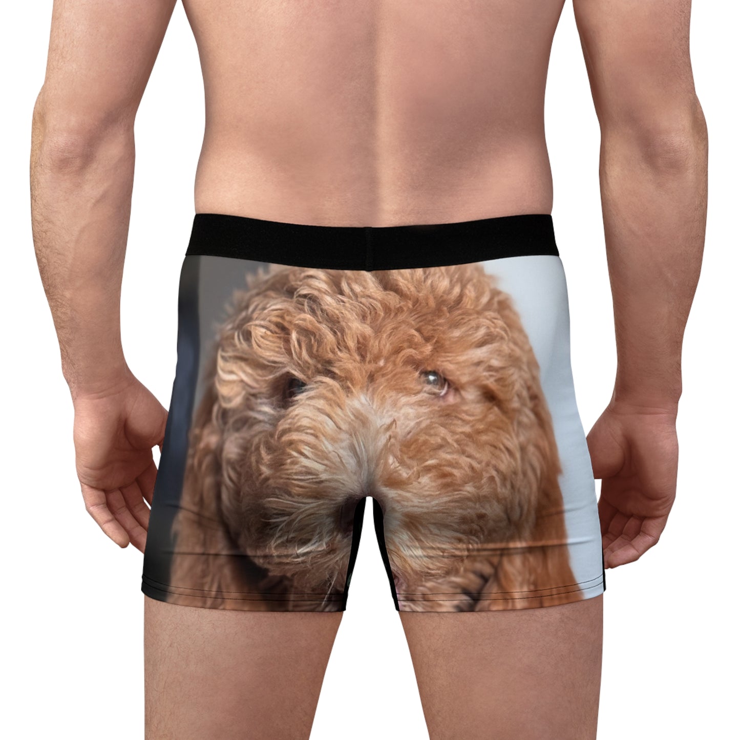 Men's HUDSON boxer brief