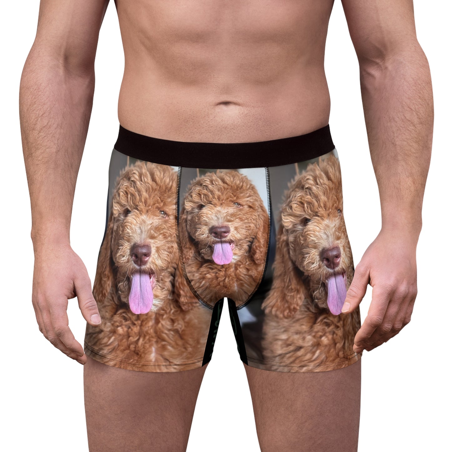 Men's HUDSON boxer brief