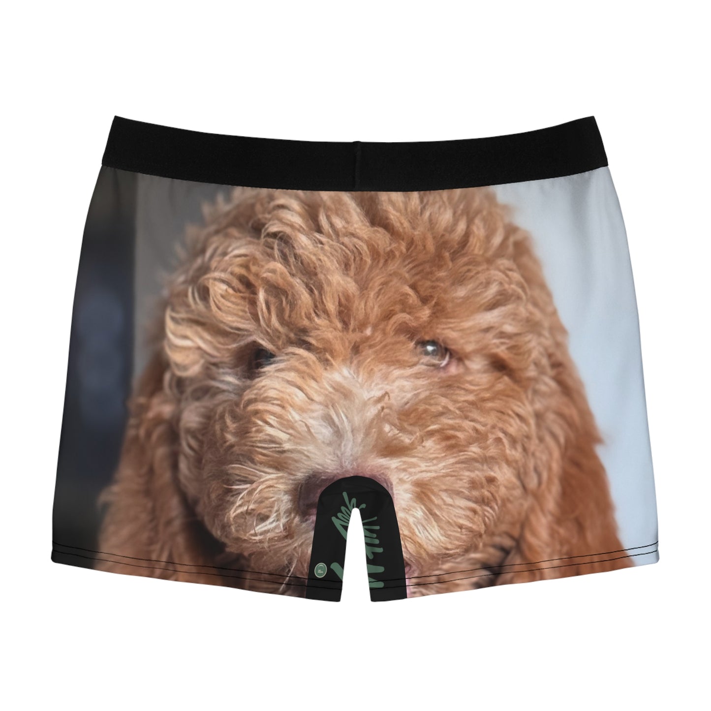 Men's HUDSON boxer brief