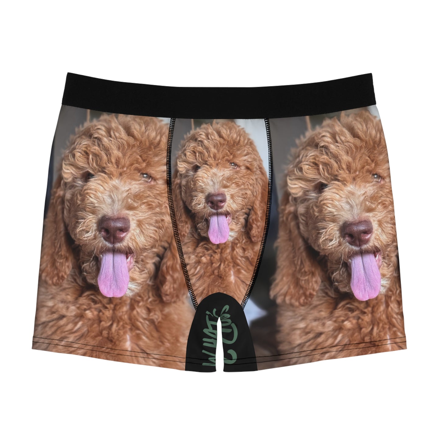Men's HUDSON boxer brief